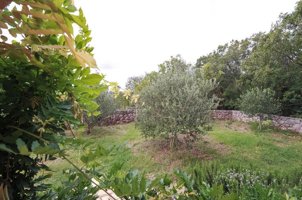 Apartments Marta Starigrad Paklenica Room photo